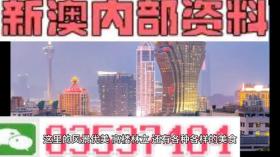 新澳60期资料及精英款连贯性评估方法-图6